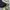 Coach Casual Shoulder bag Wanita navy photo 3