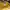 Casual Hat Pria yellow photo 6