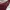 Adidas Streetwear Casual Bag Pria burgundy photo 5
