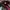 Casual Hat Pria burgundy photo 6