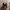 Vintage Bodysuit Wanita red black photo 1