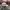 MLB Casual Hat Pria gray cream photo 4