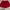 Casual Wanita red photo 5