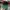 Casual Hat Pria green photo 5