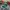 Casual Hat Pria green photo 1