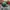 Casual Hat Pria green photo 4