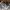 Mizuno Sportswear Casual Hat Pria gray photo 6
