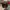 New Era Casual Hat Pria red black photo 3