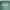 Yves Saint Laurent YSL Y2K Luxury Formal shirt Pria green photo 2