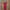 Casual Casual dress Wanita red photo 1