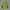 The North Face Casual Vest Pria green photo 2