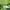 The North Face Casual Vest Pria green photo 3