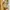 Casual Casual dress Wanita multicolor photo 4