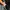 Puma Streetwear Y2K Track jacket Pria white black photo 7