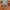 Japanese brand Streetwear Casual Hoody Pria orange photo 2