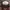 Streetwear Biker Track Jacket Pria Multicolor