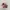 VANS Streetwear Y2K Sneakers Pria red blue photo 2