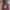 Streetwear Casual Casual pants Pria multicolor photo 2