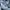 Lacoste Vintage Casual Sweater Pria blue photo 3