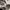 Pull & Bear Streetwear Indie Hoody Pria cream photo 2
