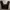 MUSINSA STANDARD Luxury Casual Casual pants Pria green black photo 4