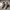 Nike Streetwear Sportswear Sneakers Pria white gray photo 2