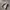 Nike Streetwear Sportswear Sneakers Pria white gray photo 1