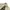 Burberry Luxury Trench coat Pria cream photo 2