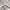 Carhartt Vintage Streetwear Pria tan brown photo 5