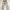 Carhartt Vintage Streetwear Pria tan brown photo 1