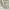 Carhartt Vintage Streetwear Pria tan brown photo 4