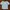 COLORBOX Indie Coquette Crop top Wanita white blue photo 1