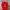 Y2K T-shirt Pria Red