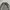 Minimalist Sweatshirt Pria gray photo 2