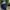Polo Ralph Lauren Streetwear Cosplay Cardigan Pria navy photo 6