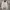 Polo Ralph Lauren Streetwear Casual Cardigan Pria white cream photo 1