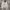 Polo Ralph Lauren Streetwear Casual Cardigan Pria White Cream