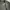 The North Face Streetwear Gorpcore Parka Pria black photo 4