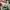 New Balance Casual Sneakers Pria multicolor photo 6