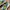 New Balance Casual Sneakers Pria Multicolor