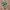 New Balance Casual Sneakers Pria multicolor photo 1