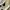New Balance Casual Sneakers Pria multicolor tan photo 2