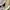 New Balance Casual Sneakers Pria Multicolor Tan