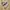 New Balance Casual Sneakers Pria multicolor tan photo 1