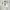 Adidas Streetwear Jersey Pria White