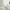 Adidas Streetwear Jersey Pria white photo 6