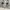 Umbro Streetwear Sportswear Jersey Pria white gray photo 4