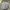 Argyle and Oxford Futurist Casual Formal shirt Pria multicolor photo 1
