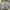Argyle and Oxford Futurist Casual Formal shirt Pria multicolor photo 2