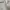 Zegna Luxury Casual Sweater Wanita gray photo 8